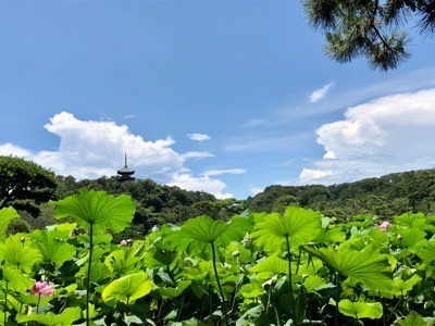 02EF008D-44D6-4065-8D84-FE8C9506D920.jpeg