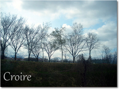 0419-1-thumbnail2.jpg