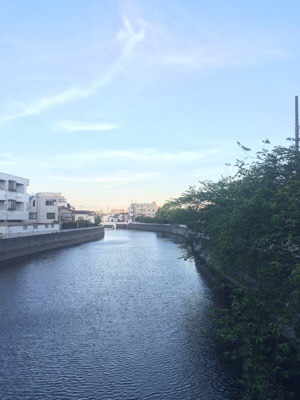 070F15F1-7077-4933-9D2F-79B73B458E09.jpeg