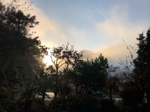 073B973C-AA3E-4657-AAE2-727AC3C644AC.jpeg
