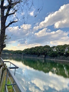 0C8A1E21-3AC3-41E5-83F2-4B00F47A744B.jpeg
