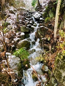 0E16D065-4AC9-4947-9E06-919E0EB2BA17.jpeg