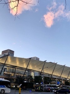 0F6A0FCF-1338-429E-8891-917592C225D8.jpeg