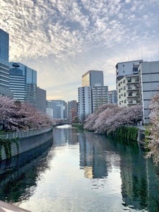 14F528EE-84D8-4733-AAF5-9870477D4D91.jpeg