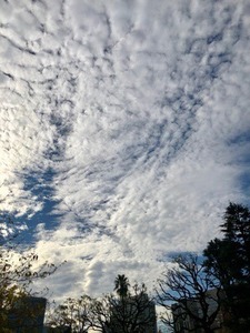 15265B06-54E5-4B31-B5A4-49D4472FF295.jpeg