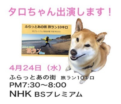 16402AE8-65CF-46E8-AB41-9C2BDF371715.jpeg