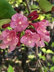 1956018D-A44F-4D75-9AD2-8C430EAB792C.jpeg