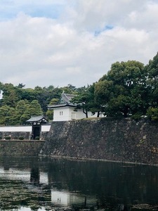 19F1B4F8-3DFC-431B-A0AB-12A28D32933E.jpeg