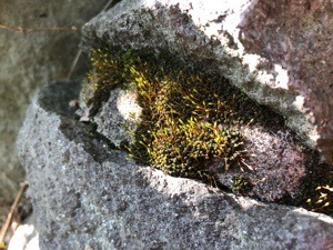 1A433862-C0BE-46D5-BDFC-9DF291520AA0.jpeg