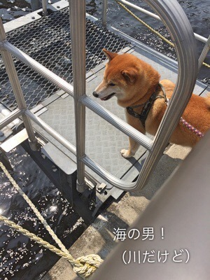 1C7C0B1C-237A-4428-A7BF-708D9826228D.jpeg