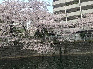 1D82320D-BA2E-4C5A-90D5-EC501A89FE01.jpeg