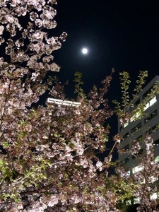 21F88F17-4F26-4589-AB66-D06B20E910E5.jpeg