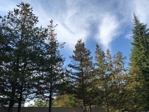 23594A92-473A-4536-AFF1-496E3B7DD32C.jpeg