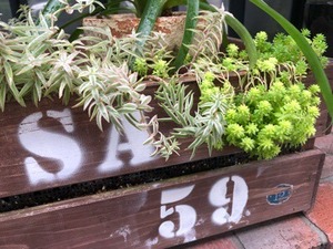 23B7FA2A-AB9C-4616-98E0-31B8CFCBA554.jpeg