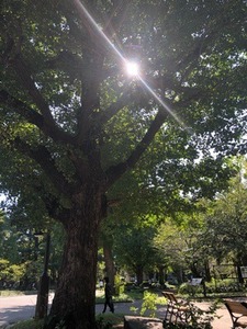 268364FF-E071-475F-B299-82FDBF431C04.jpeg