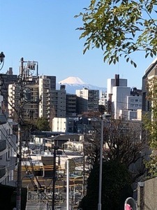 2AA04AA8-ADC3-44AD-8D26-E54ED2962E25.jpeg