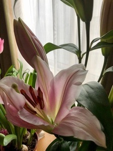 2AC7B159-1C68-4ACA-A8DC-0A14848ECFD3.jpeg