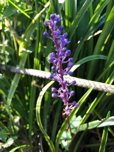 2B7D007A-582E-47C5-AEC6-3C9368D72DD6.jpeg