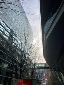 2BDBF557-252B-4A38-8095-700BB84E3564.jpeg