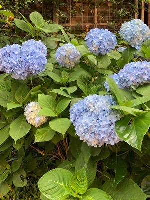 2C14D9D9-CDFA-45DA-A002-97363E6670D2.jpeg