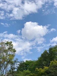 2C77540A-D55C-4242-B485-63787E8F2319.jpeg