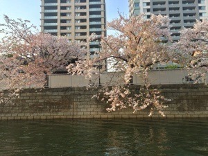 2F68BA17-D746-4C42-877A-BE966A9ED026.jpeg