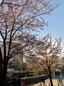 30331FFF-85B6-4A8F-89D7-C44219C81CE8.jpeg