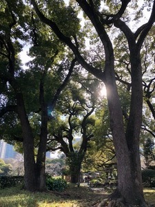 3092C7CE-93CB-44F1-8B00-3137B0F628D0.jpeg