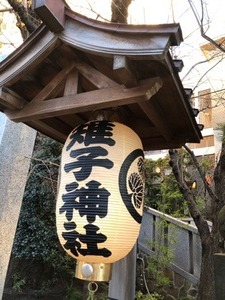 30FC0199-3483-455D-BA70-2E6891438038.jpeg