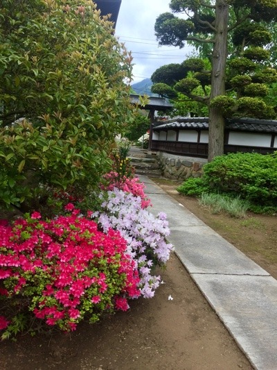 39476EC0-6C05-464D-A88C-D5B103377A97.jpeg
