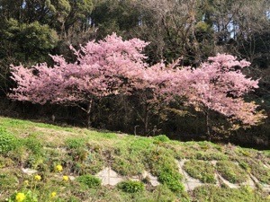 3A183216-02FD-4D24-BFAB-408A7232FD9D.jpeg