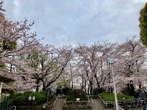 3E784E7D-765D-4249-8169-D79471E2AA08.jpeg
