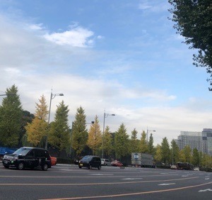 3FEF8661-561D-4ED4-853B-F95EF6AC8E99.jpeg