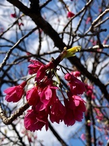 412A2833-2B42-4F94-87B7-93480051136E.jpeg