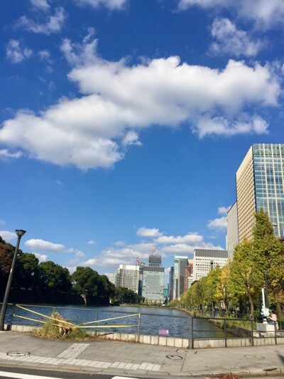 42F68C1A-510B-4D65-960C-EA0D7F46CE77.jpeg