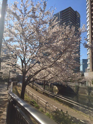 434D0B3C-6002-42B0-870D-639B25F423E1.jpeg