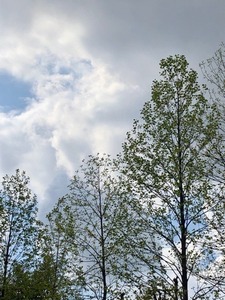 445086E0-8BDB-4230-AC81-946111DC9A32.jpeg