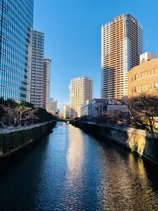 46147E18-CA03-40DD-938D-342B7F1B952A.jpeg