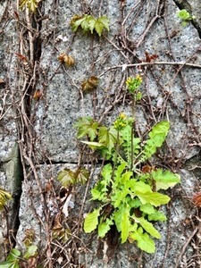 46B06DDB-4465-4512-B24D-997ADC165CB4.jpeg