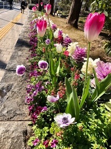 47767A65-38E0-477B-B19F-3B280ED25F09.jpeg