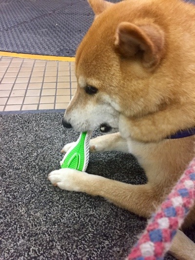 48E60A0B-5258-444A-AA1B-68D9B426E831.jpeg