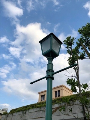 49CA9905-89E1-4D20-A959-08B934E8A59F.jpeg