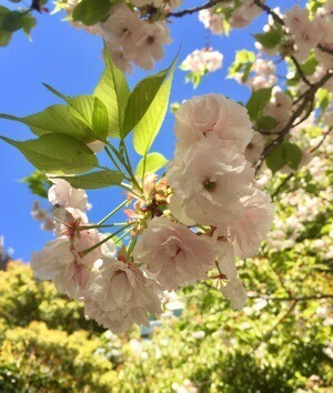 4B7E8E9F-39E3-4BFC-92EF-2CBE6369D2A5.jpeg