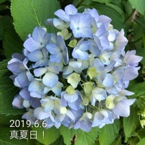 50BE242C-38C5-4E28-86DC-FE67DB1EB25A.jpeg