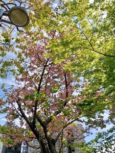 51E84ED0-5D0E-42BD-88A8-71FE62EDF222.jpeg
