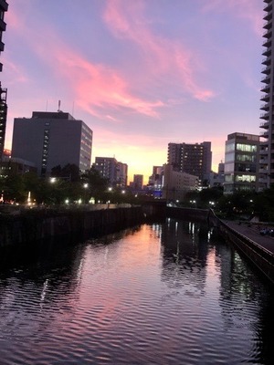 5201F921-AD80-4245-87A2-4FD58165F382.jpeg