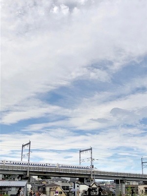 52C8C6E8-395D-4C40-BF40-9A11D0CB99CC.jpeg