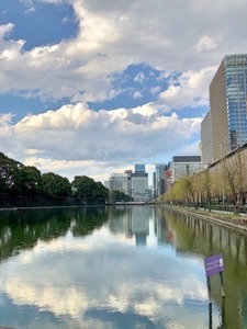 54704890-8788-49F4-9E8C-08ABB2969250.jpeg