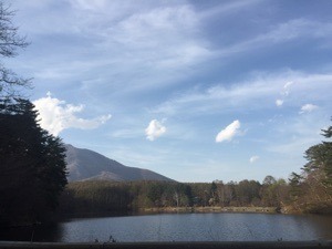 56111C7C-9E1B-40EA-9084-96BA9285E538.jpeg