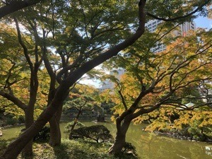 56311BF1-1AB3-4CE1-9481-B145E99AA602.jpeg